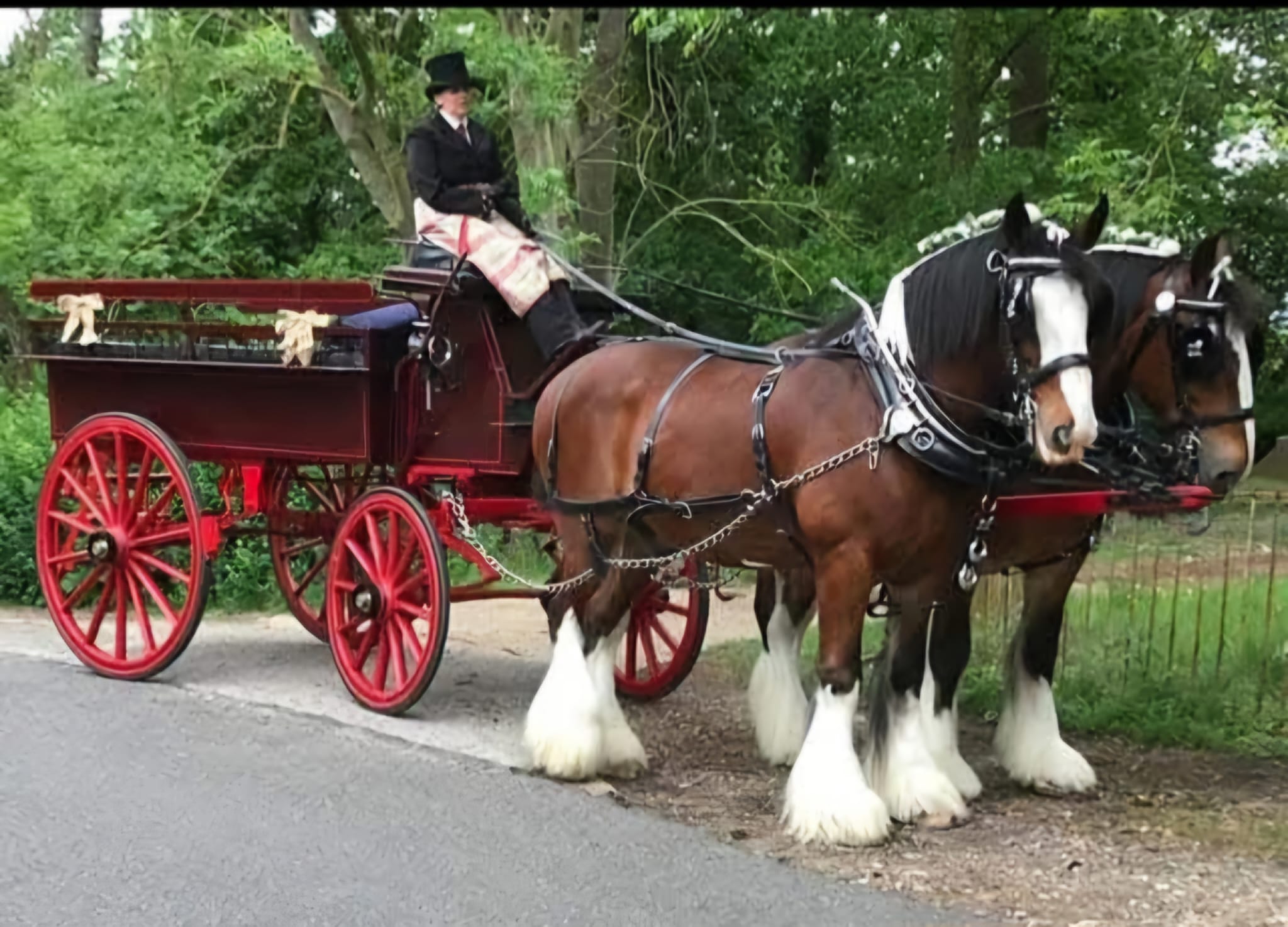 Victoria Brake - View 2